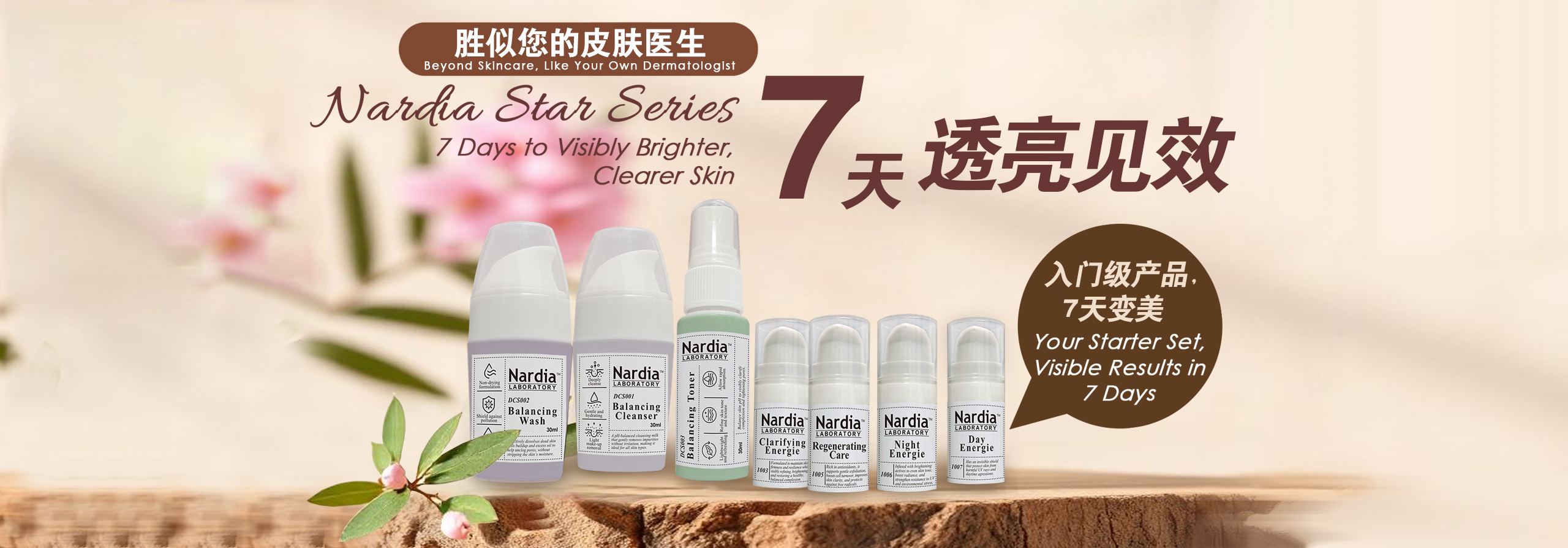 NSS Web Banner_12Dec2025